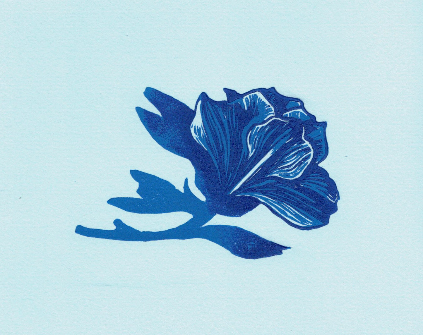 Flora