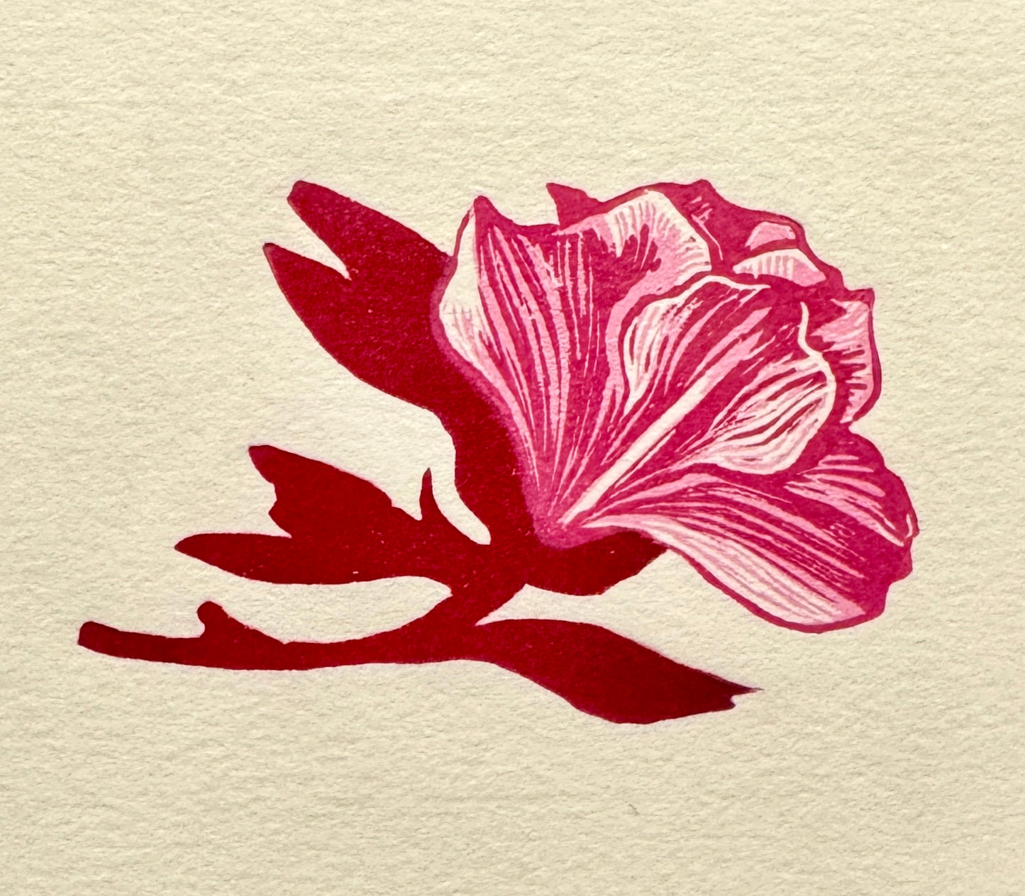 Flora