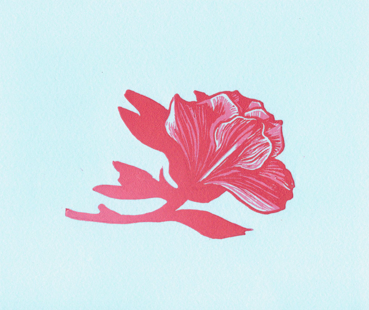 Flora