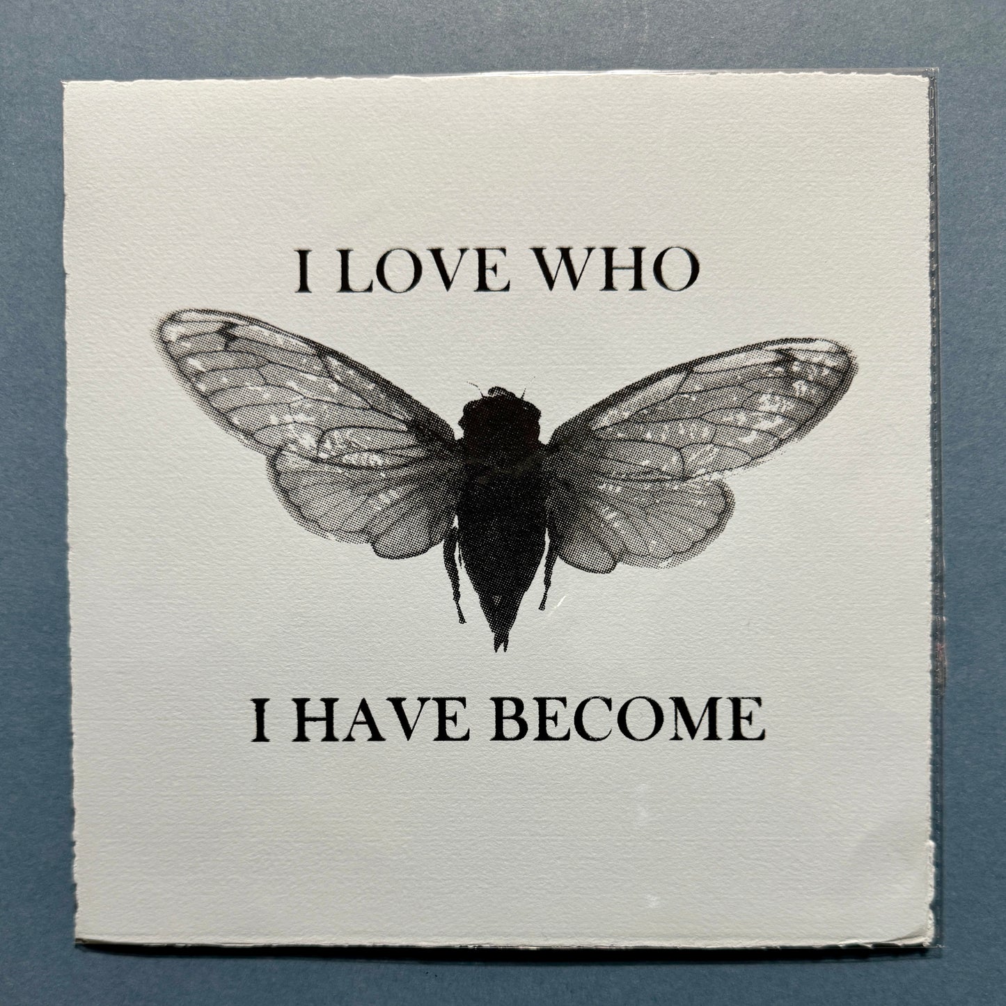 I Love Who I Have Become
