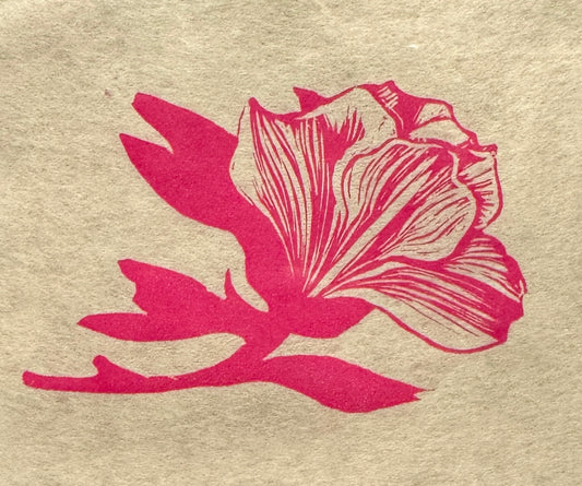 Flora