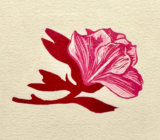 Flora